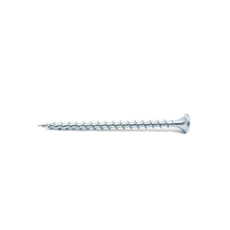 Șurub pentru gips-carton Phillips drive cu cap bucle bulu alb placat cu filet grosier